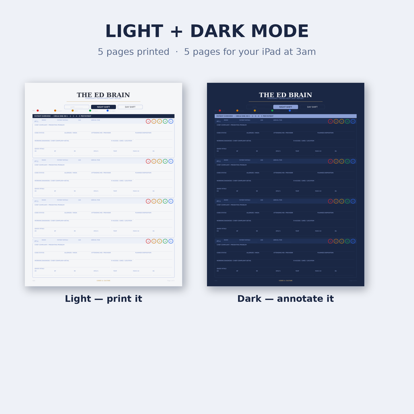 ED Nurse Brain Sheet | Emergency Department Report Sheet, Light + Dark Mode