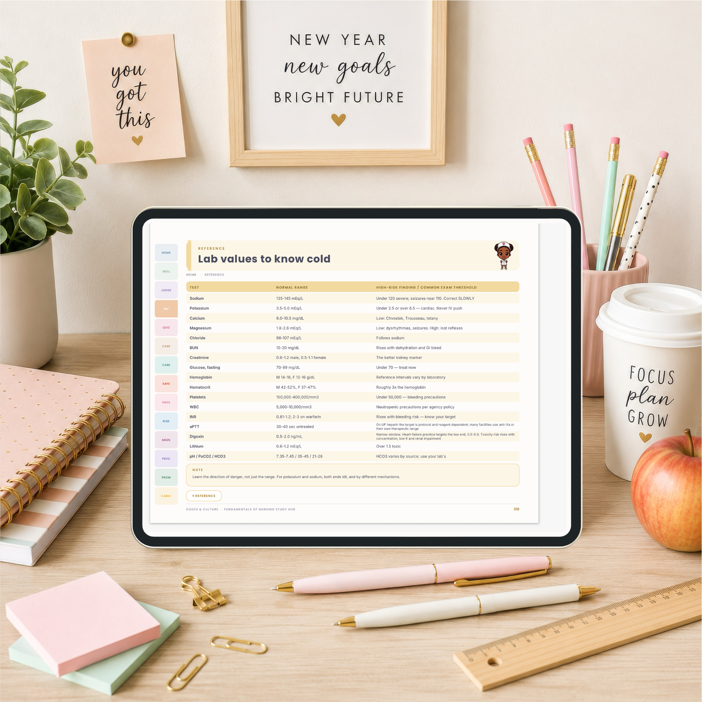 Fundamentals of Nursing Interactive Study Hub