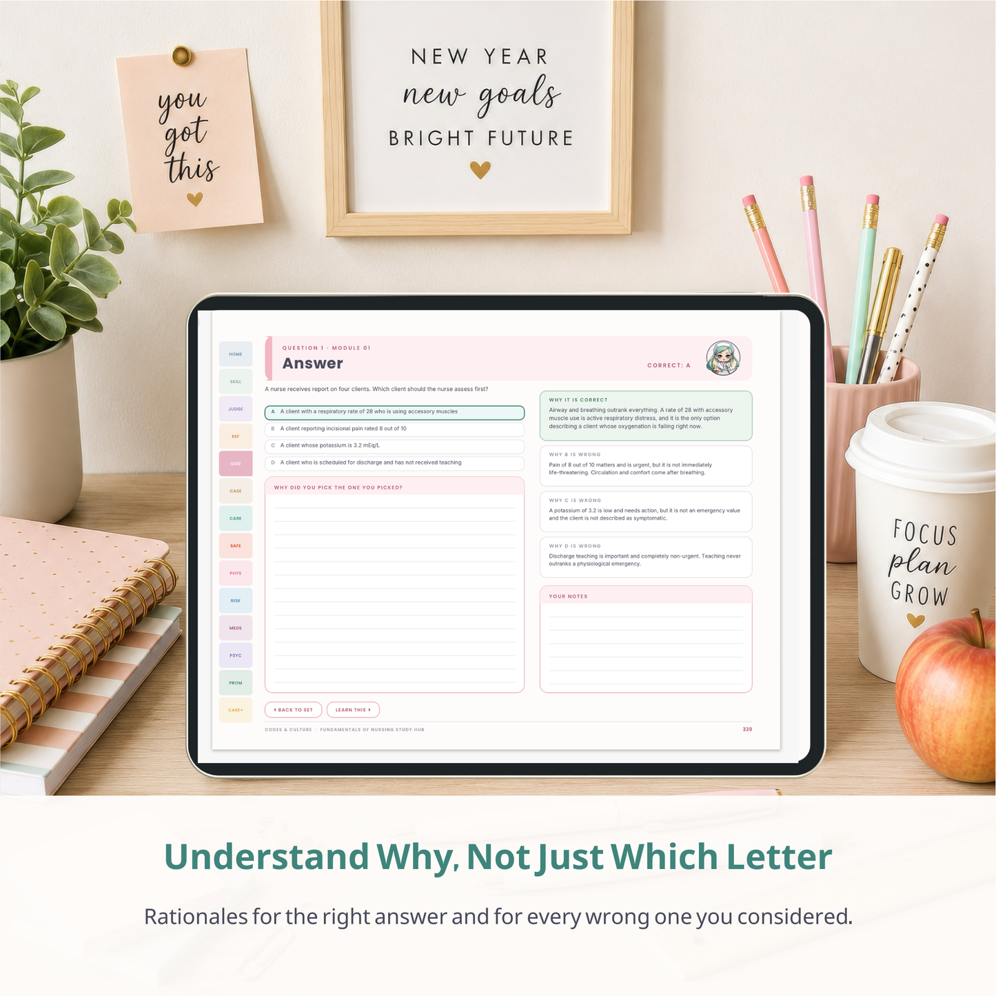 Fundamentals of Nursing Interactive Study Hub